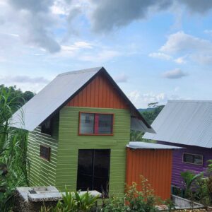 Green Tiny home exterior, stone deck with outdoor grill next to a purple tiny home surround by plants
