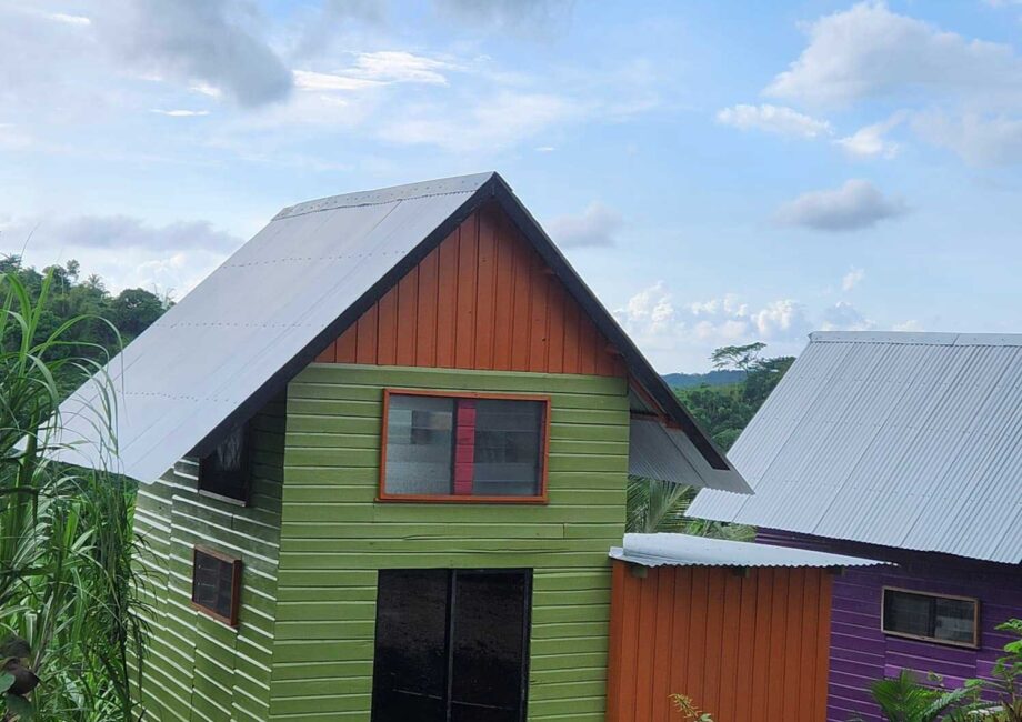 Green Tiny home exterior, stone deck with outdoor grill next to a purple tiny home surround by plants