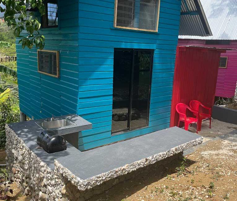 Blue Tiny home exterior, stone deck with outdoor grill and 2 red chairs with the farm land in the background