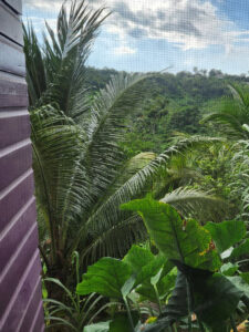 Beautiful Jamaican View