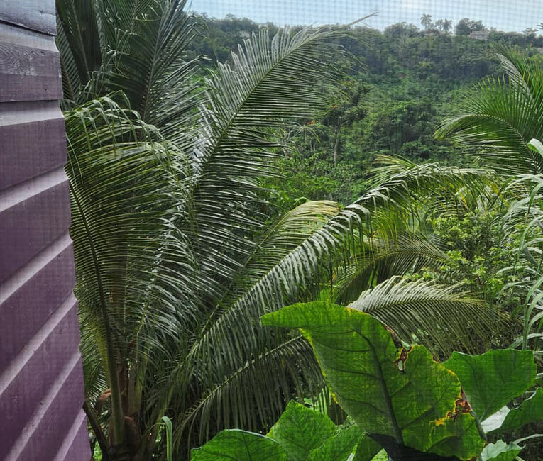 Beautiful Jamaican View