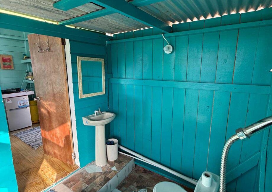 Private Bathroom and shower with blue wooden walls and mosaic tile floor