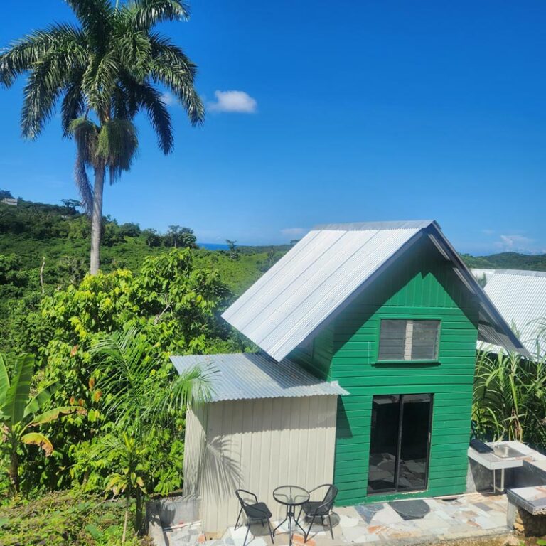 Green tiny house with lush greenery in the background