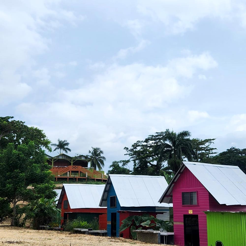 view of 3 tiny homes (Orange, Blue and Pink) surrounded by trees on the Rustic Mountain Living Retreat's property