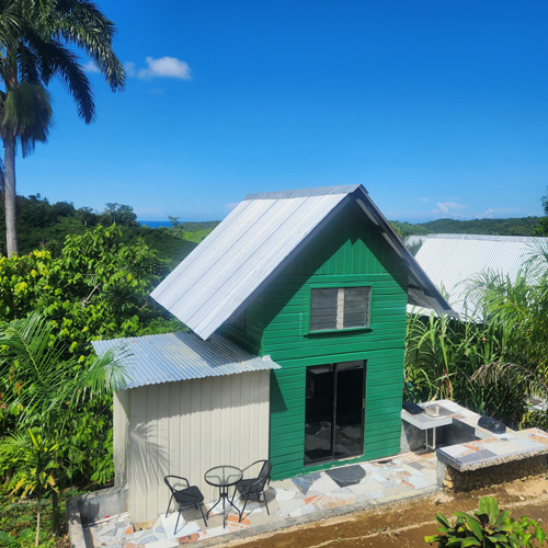 Green tiny house with lush greenery in the background
