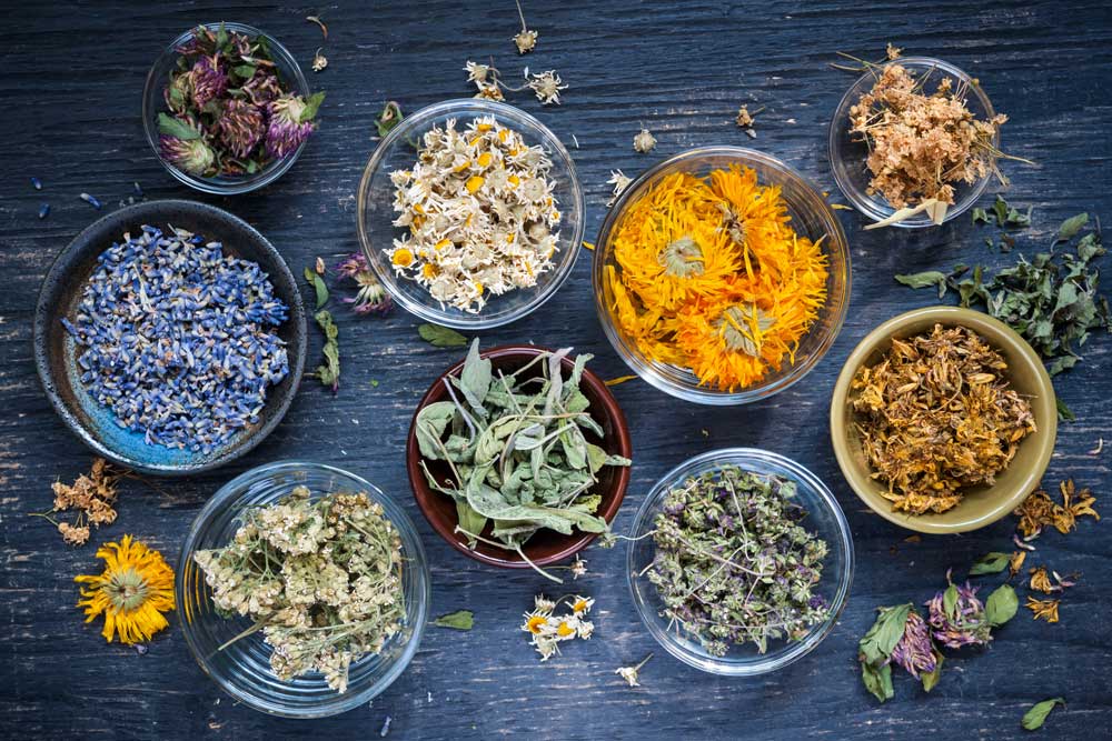 dried herbs in bowls on a dark wooden background