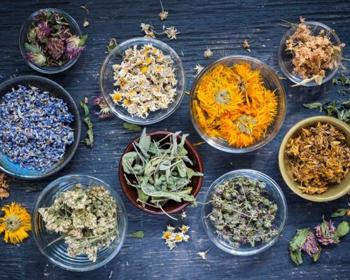 dried herbs in bowls on a dark wooden background