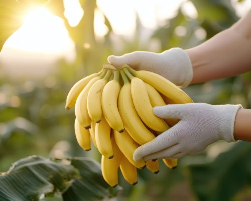 woman holding a banana