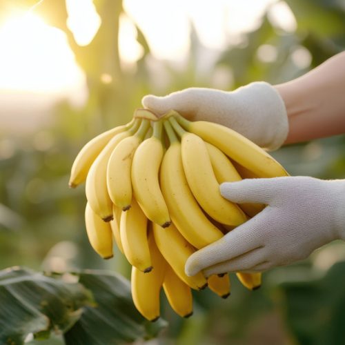 woman holding a banana